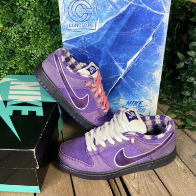 Dunk SB low purple lobster special box (Taille 41)
