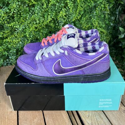 Dunk SB low purple lobster special box (Taille 41) – Image 3