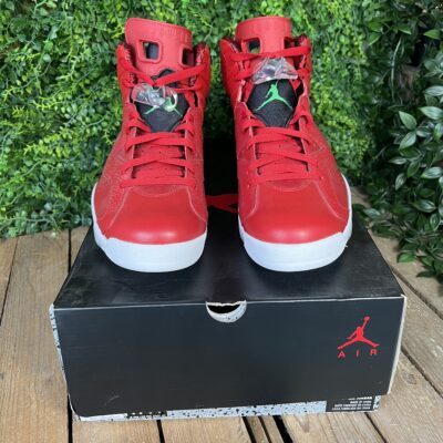 Jordan 6 History of Jordan (Taille 45) – Image 3