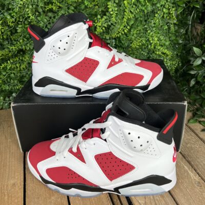 Jordan 6 Carmine (Taille 42,5)