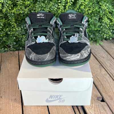 Dunk SB There Skateboarding (Taille 41) – Image 3